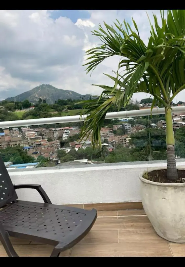 The Best View Of 卡利